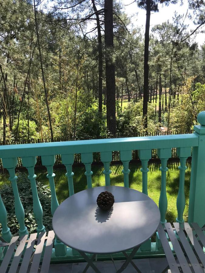 Un Nid Dans La Pinede Villa Lacanau Eksteriør billede