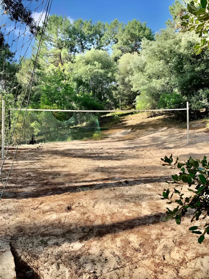 Un Nid Dans La Pinede Villa Lacanau Eksteriør billede